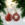 Mini Wooden Ornaments - Set of 12 - Image 2